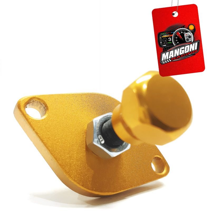 Atuador Marcha Lenta AP MI Street - Dourado