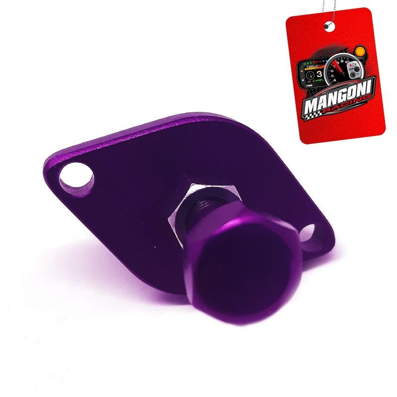 Atuador Marcha Lenta AP MI Street - Roxo