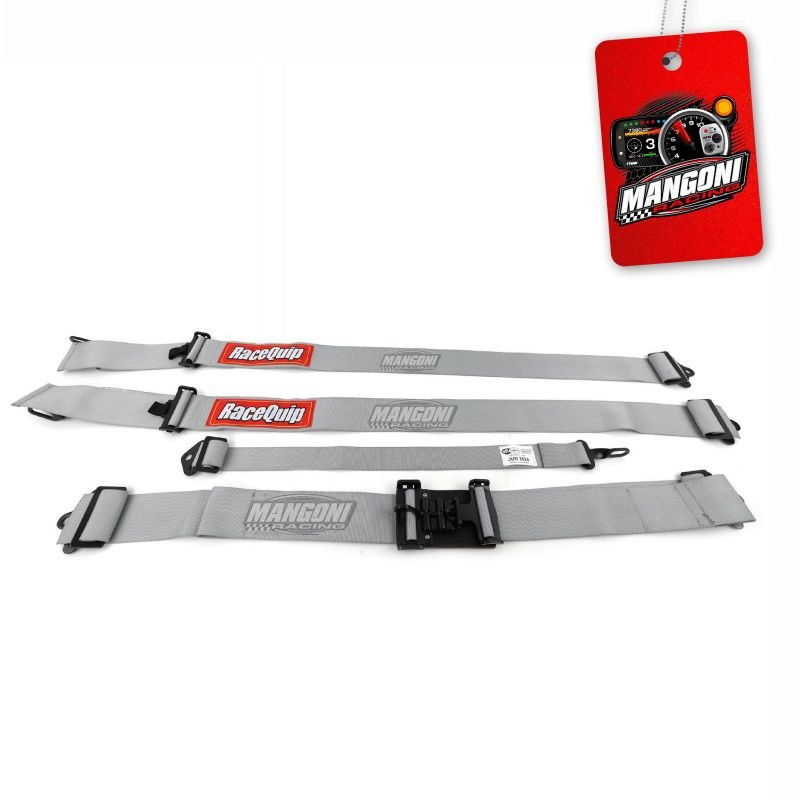 Cinto de Segurança 3' 5 Pontas Cinza Homologado - Racequip