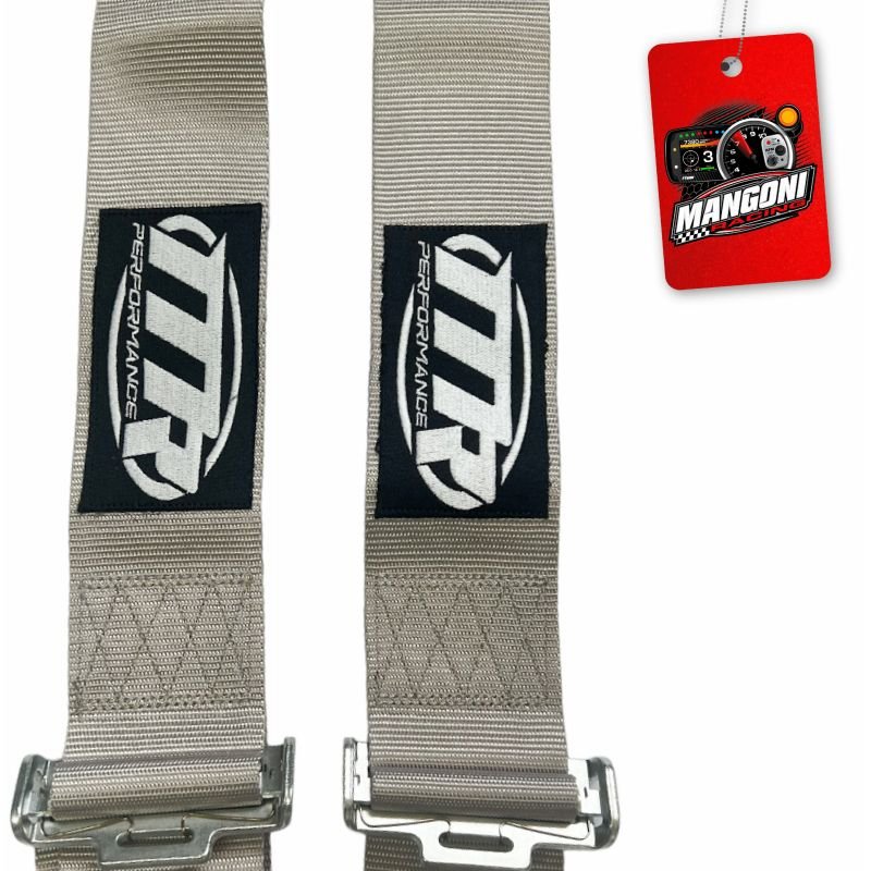 Cinto de Segurança 3' Engate Rápido 5 Pontas Homologado SFI Cinza - MR Performance