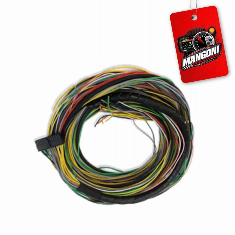 Injeção Electrônica Fueltech FT300 Com Chicote 6 Metros Motor Traseiro