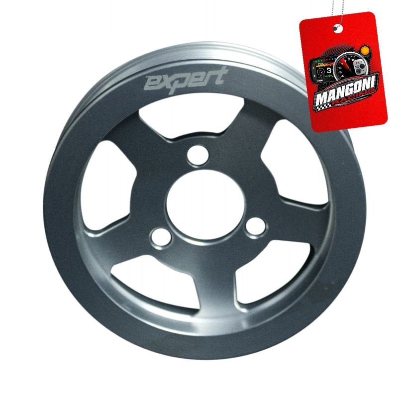 Polia Bomba D'água Poly-V VW AP Prata - Expert