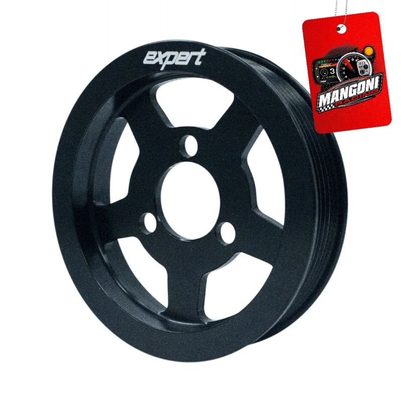 Polia Bomba D'água Poly-V VW AP Preto - Expert