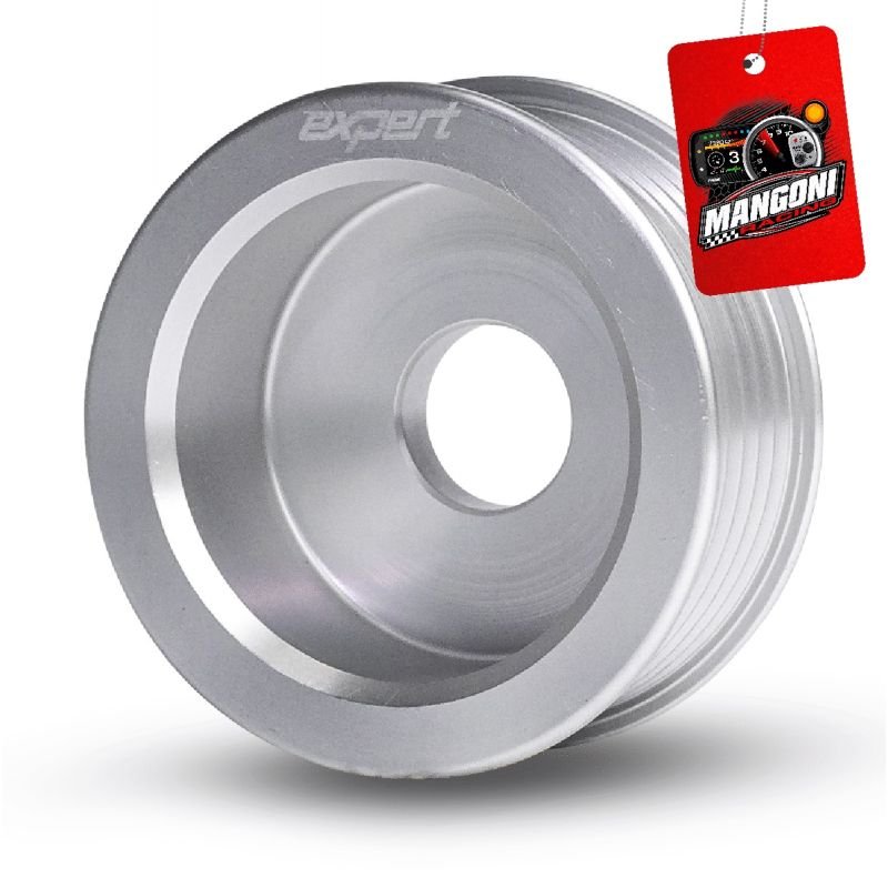 Polia do Alternador Poly-V 27mm VW AP Prata - Expert