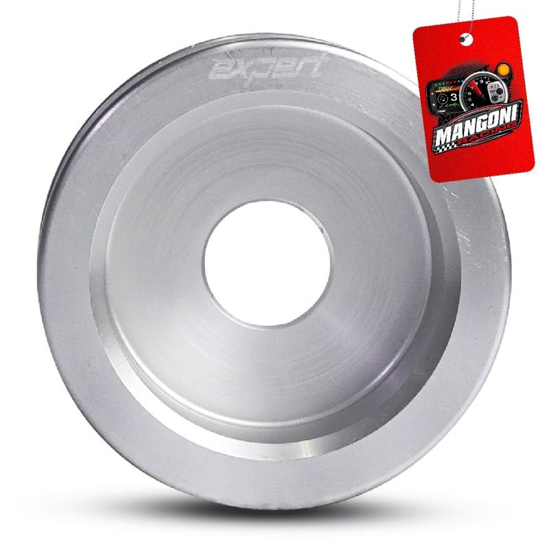 Polia do Alternador Poly-V 27mm VW AP Prata - Expert