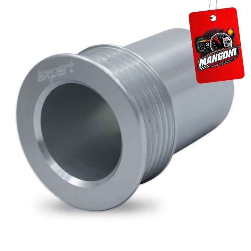 Polia do Alternador Poly-V 80mm VW AP Prata - Expert