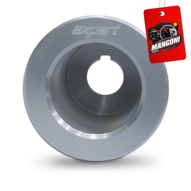 Polia do Alternador Poly-V 80mm VW AP Prata - Expert