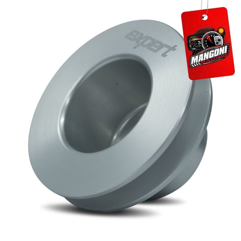 Polia do Alternador VW AP Prata - Expert