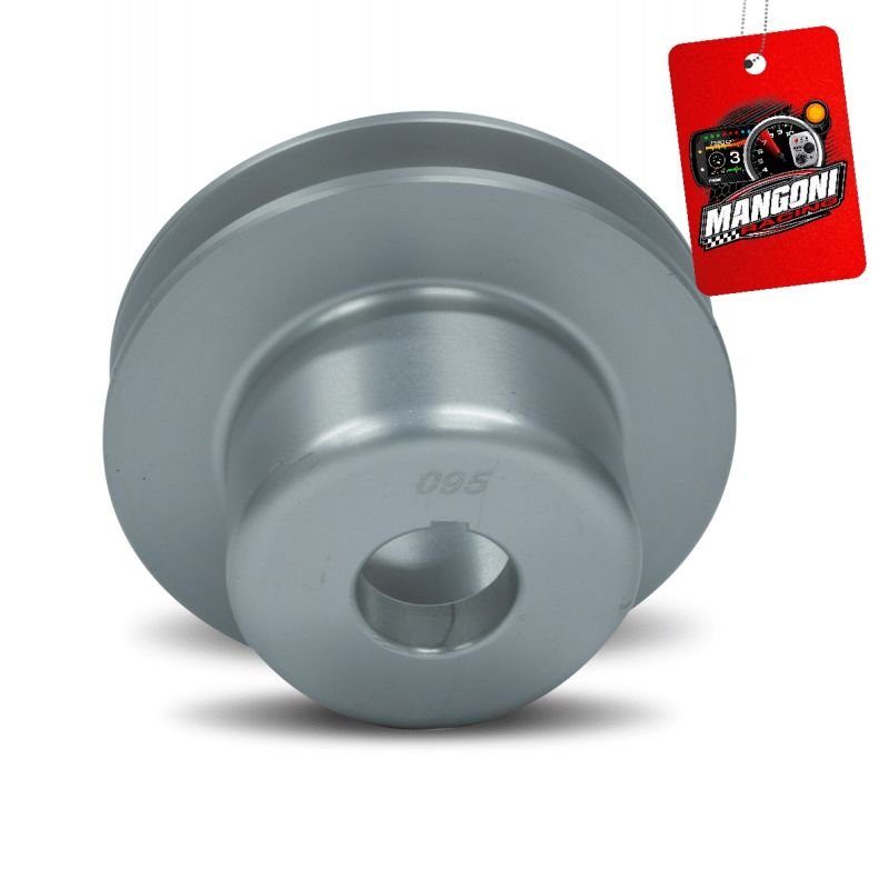 Polia do Alternador VW AP Prata - Expert