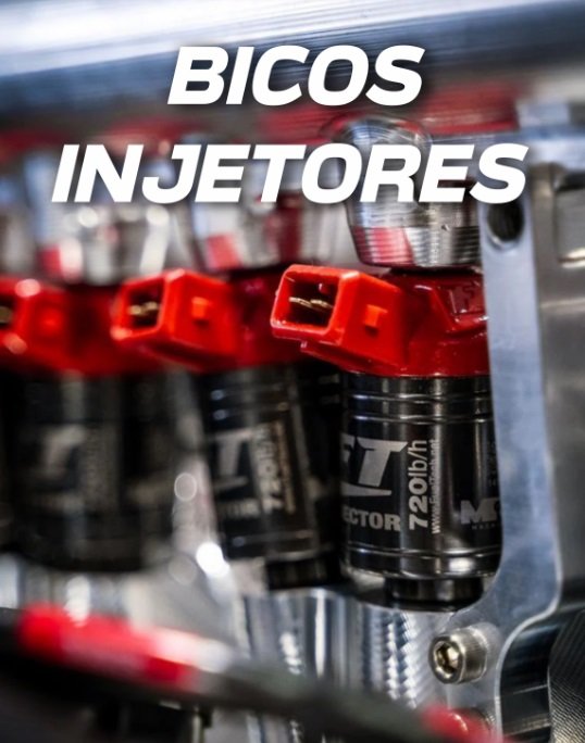 Categoria BICOS INJETORES